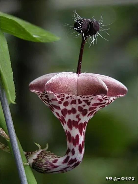 送给群友的美图,最新群相册大全