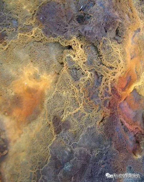 创意面料服装设计案例,服装面料肌理画图教程