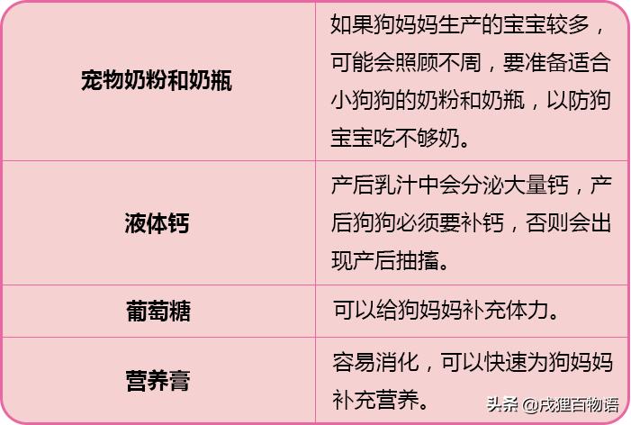 你会给狗做手术吗,为什么狗狗天生会接生宝宝呢