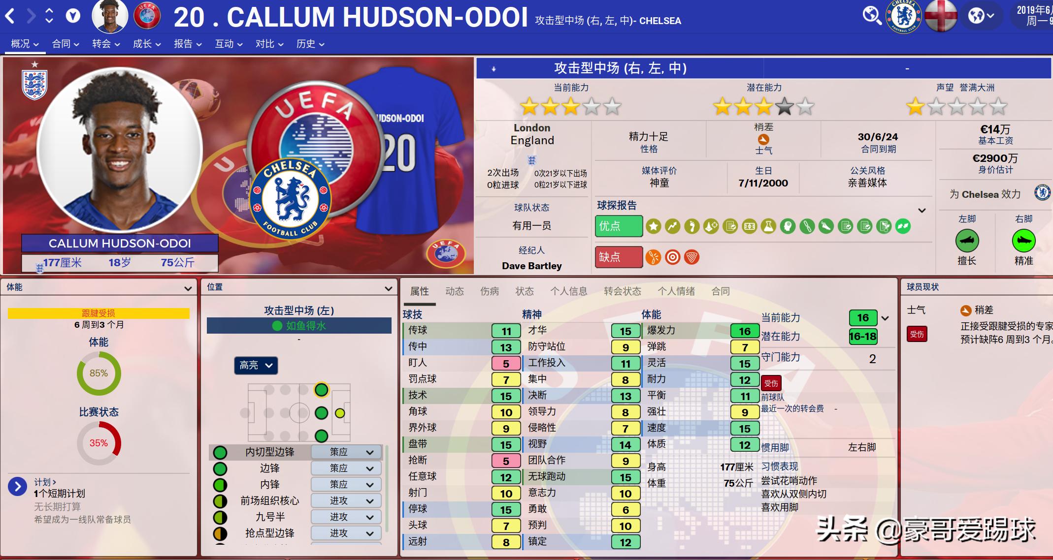 fm2021切尔西开档,切尔西阵容2024主力阵型图