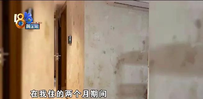 墙体发霉是房东的问题吗,墙体发霉有虫子发潮该怎么处理