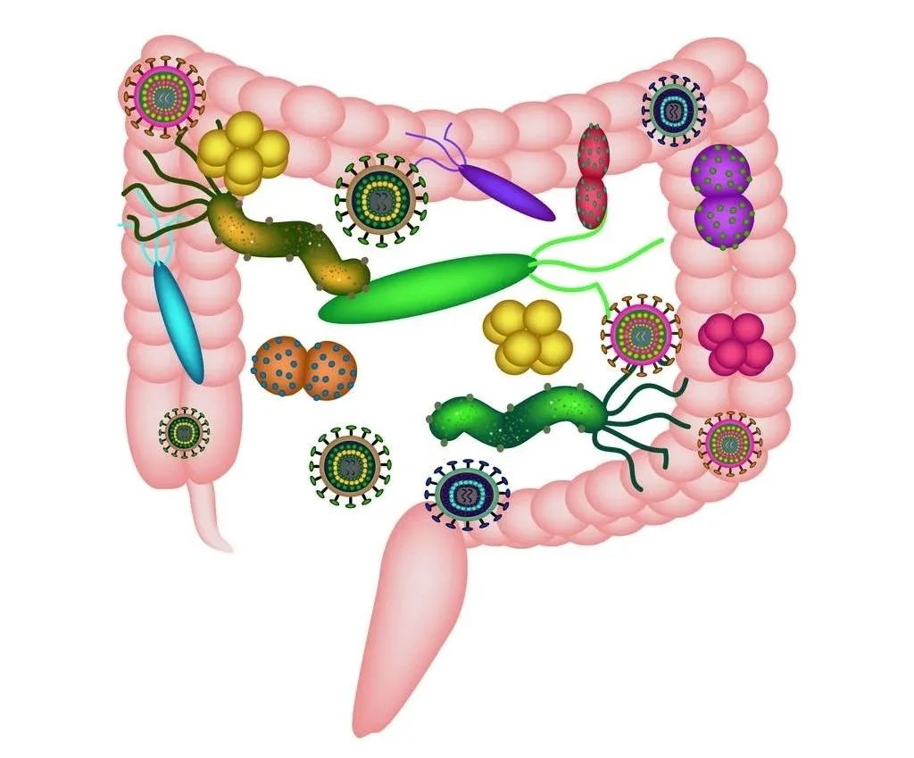 合生元产品不合格,合生元溯源码被揭开