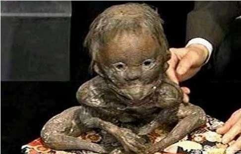 水鬼水猴子在水里有多厉害,水里的妖怪叫什么