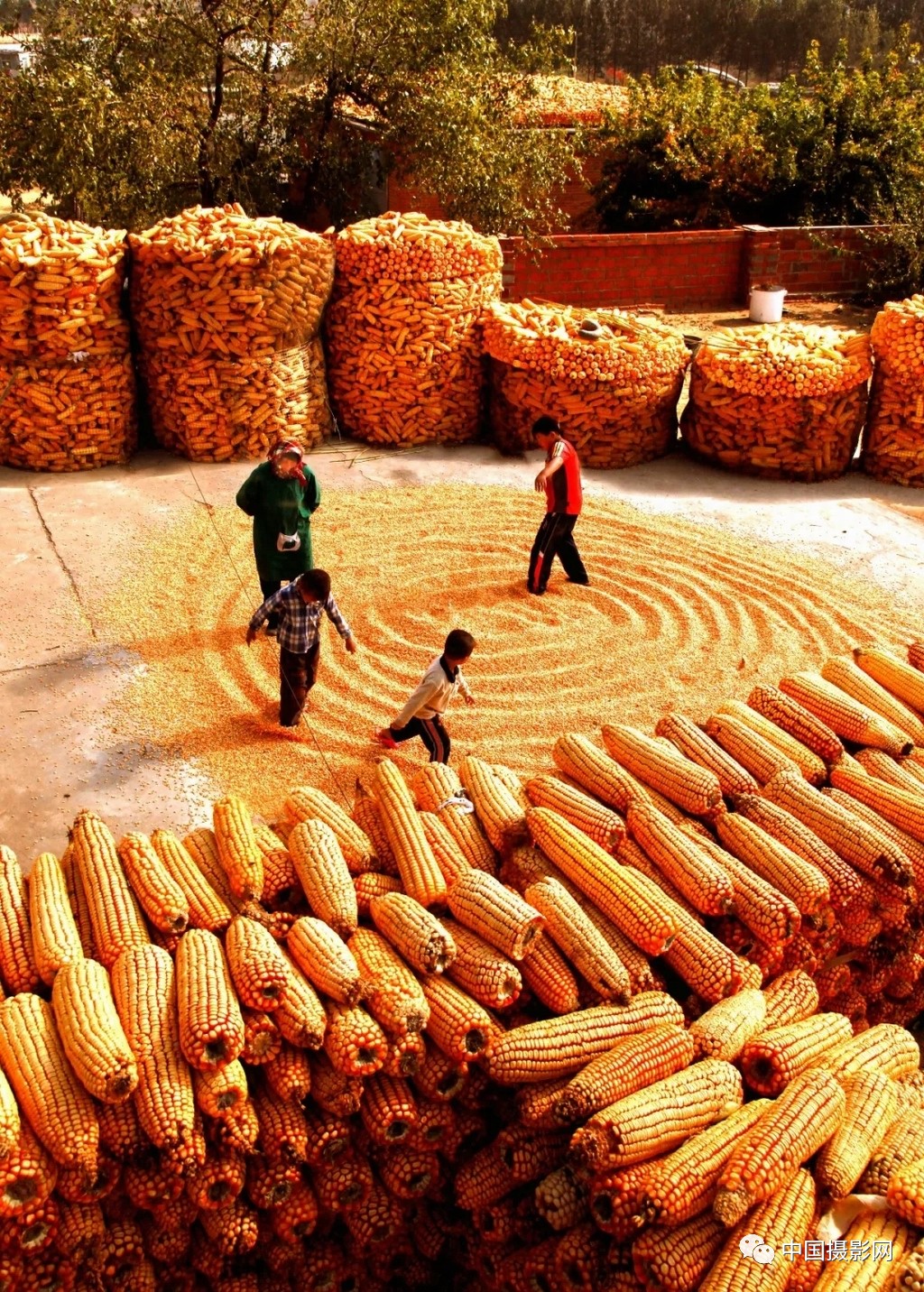 大连开发区40年老照片,大连40年发展史