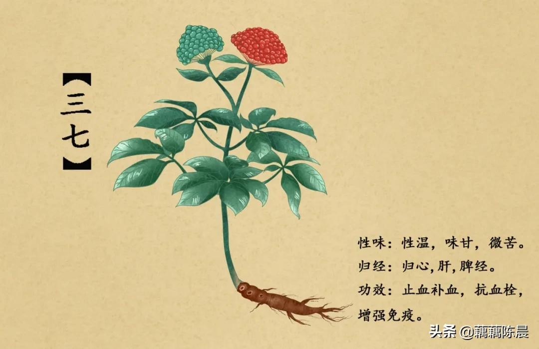 淤血长期积在人体内会怎么样,体内陈旧的瘀血怎么处理