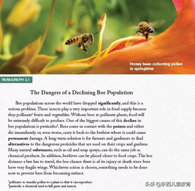 深度测评｜看看咱们的英语“牛娃四件套”能炸出多少潜在牛娃