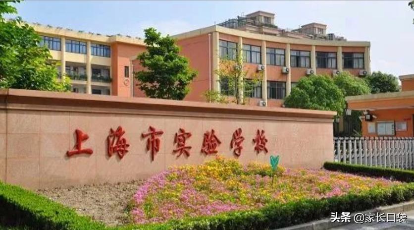 零志愿学校,上海零志愿小学
