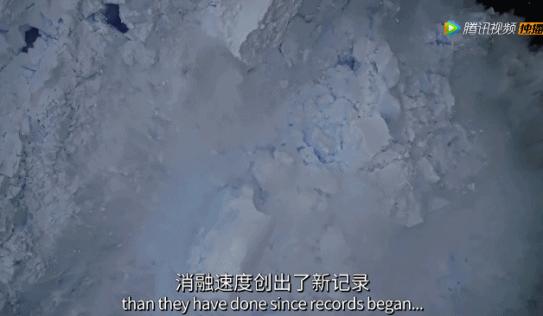 楠勯槼浼肩伀鎶楃柅,涓嶆儳瀵掑啲鎶楃柅