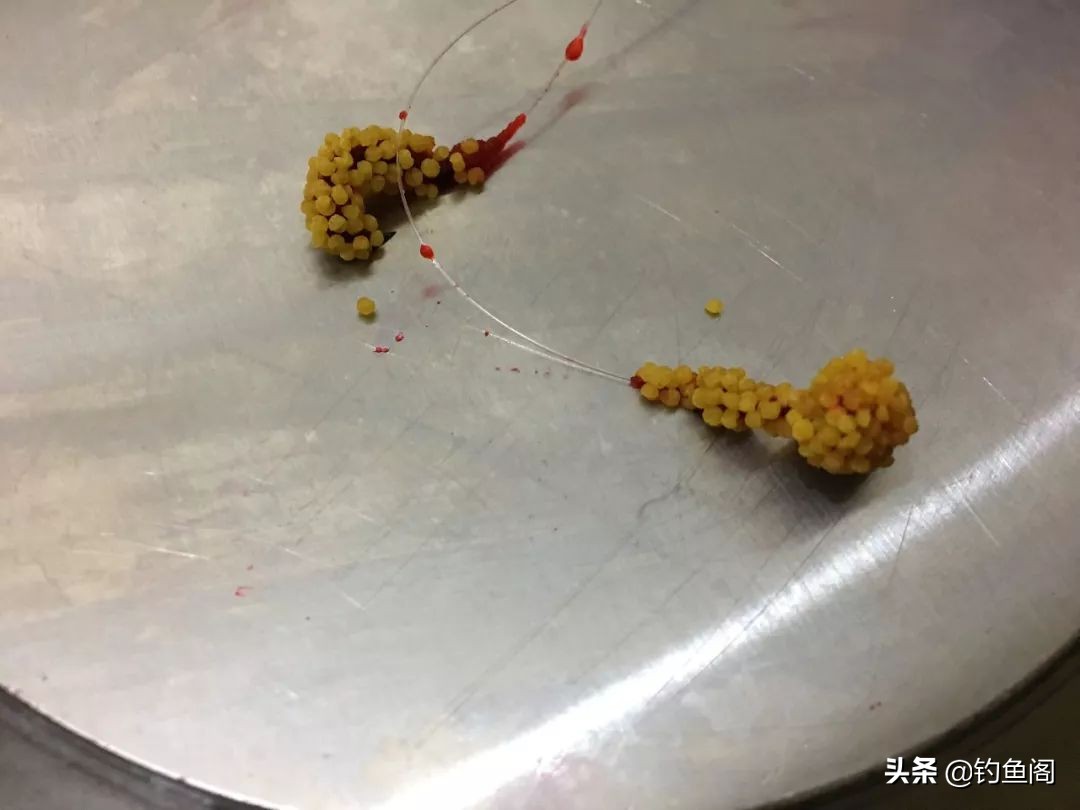 野钓餐条太多如何钓鲫鱼,野钓有餐条闹窝怎么办