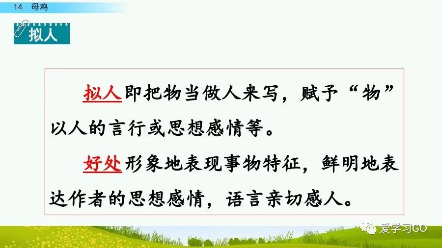 部编版四年级下册15课白鹅解析,部编版四下语文第13课母鸡预习