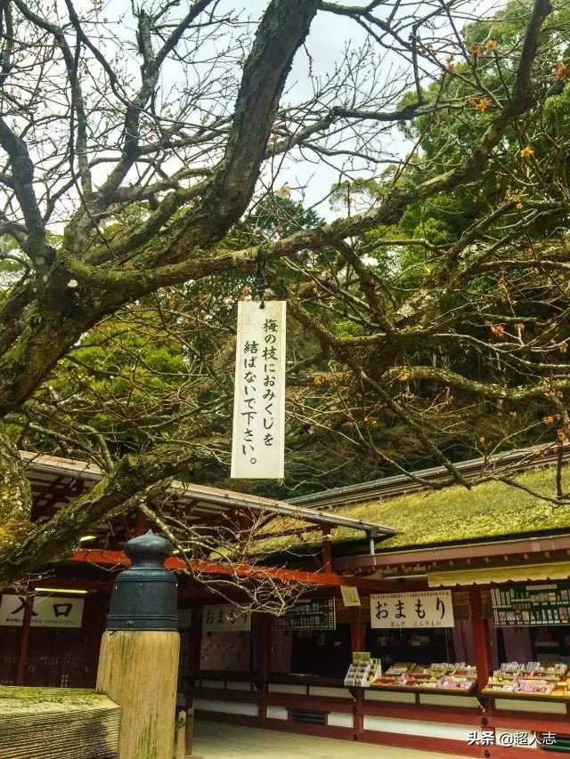 梦旅人｜999元５天日韩邮轮游，靠谱吗?