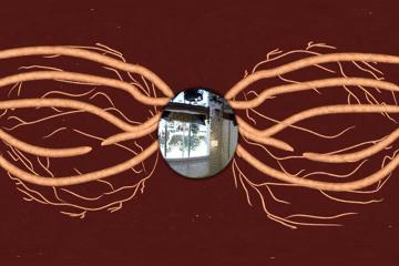 浣犵殑韬綋鍒板簳闀夸粈涔堟牱,浣犵煡閬撲綘鐨勮韩浣撻暱鍟ユ牱瀛愬悧