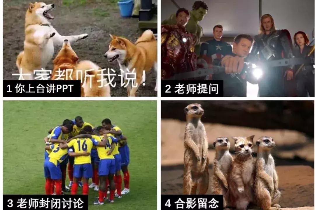 农学毕业论文答辩,学术毕业论文答辩