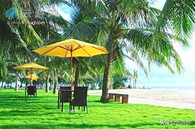 盘点茂名40个好玩的景点，茂名旅游景点大全就在这里了