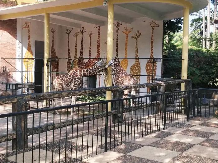 日照海洋公园闭园时间,海昌海洋公园开园闭园时间