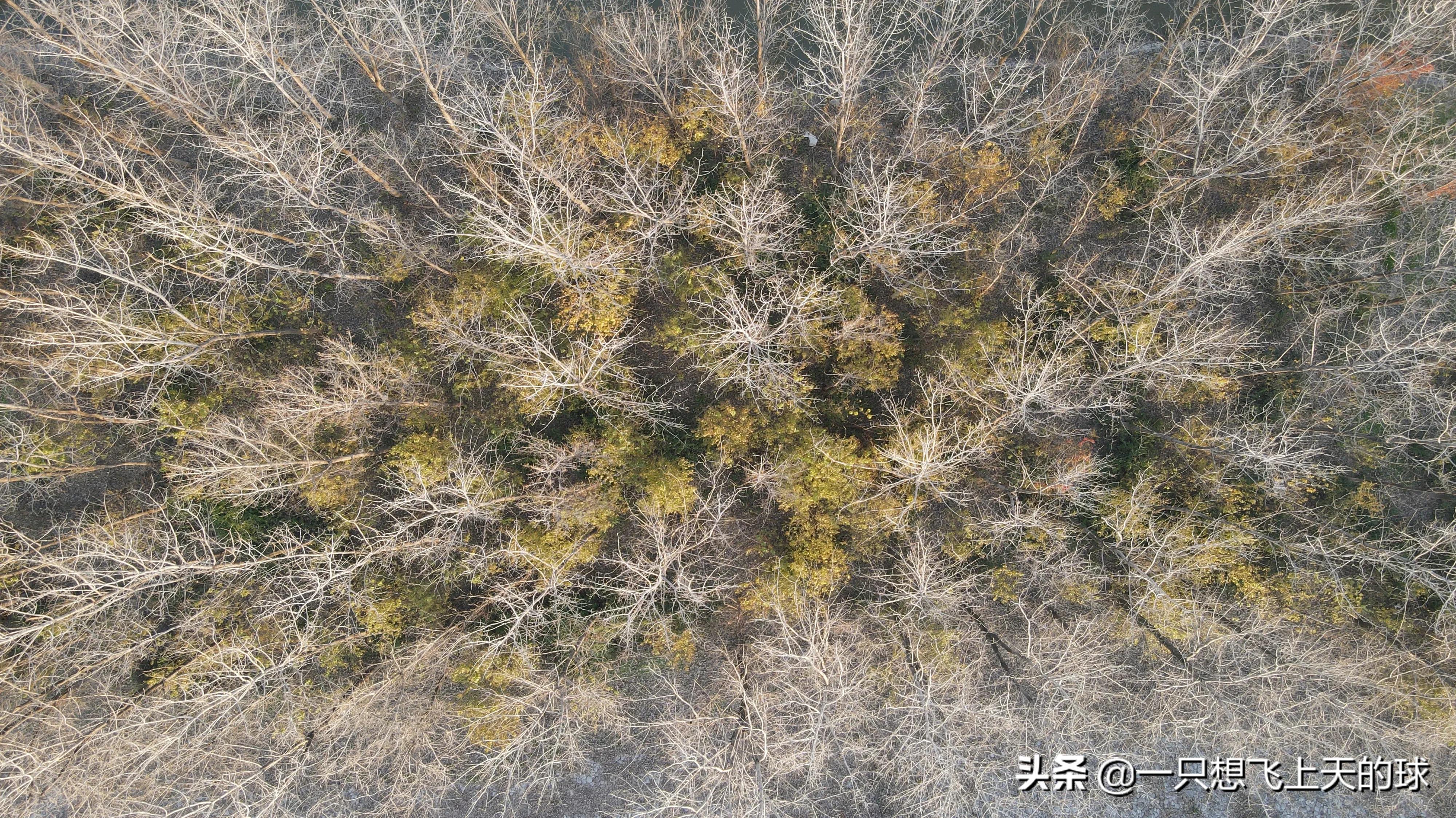 二坝航拍夜景,二坝镇航拍图