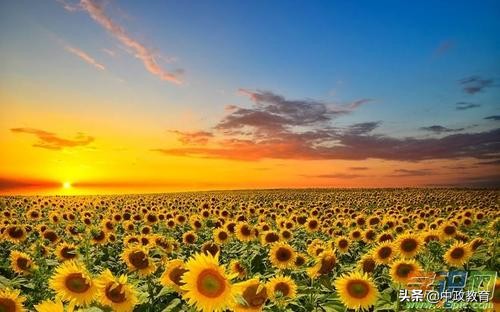 乡镇干部扎根基层申论,青年干部如何扎根基层申论