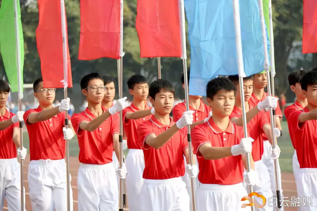 横栏小学校园田径运动会,2019白云区中小学生田径运动会