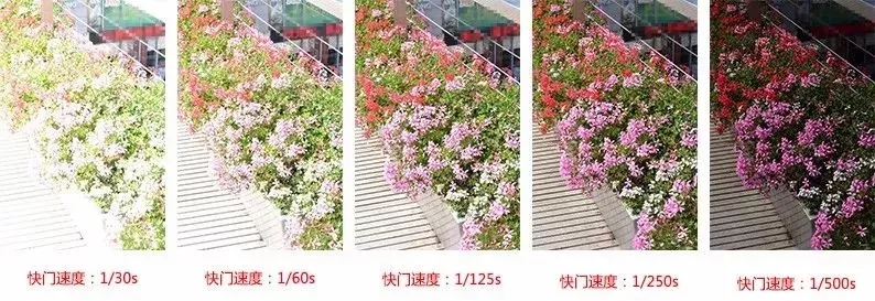 摄影入门光圈快门有什么用,摄影入门光圈快门对焦景深的了解