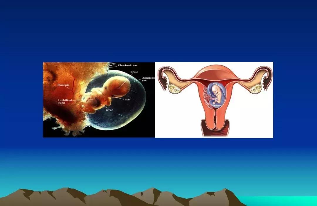 科普｜浦东医院朱建龙：妇科肿瘤的防治