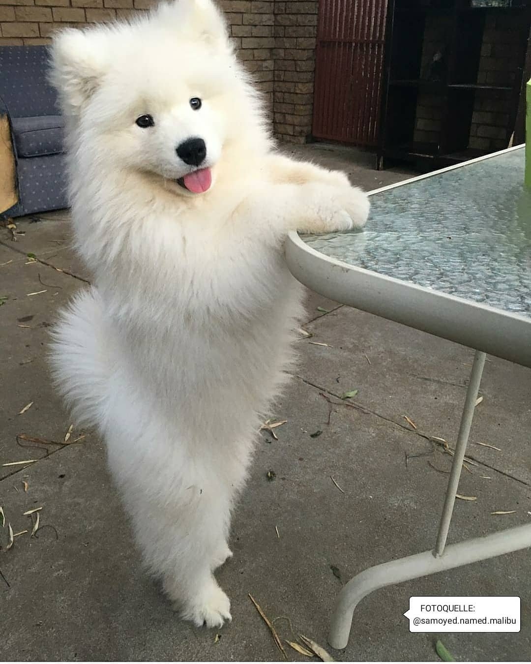 放下了七情六欲戴上金箍才能救你,带上金箍就不能有七情六欲了