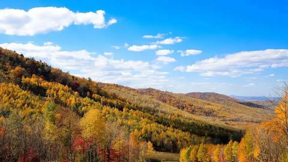 假期逛景区一大波优惠等着您,景点优惠活动视频