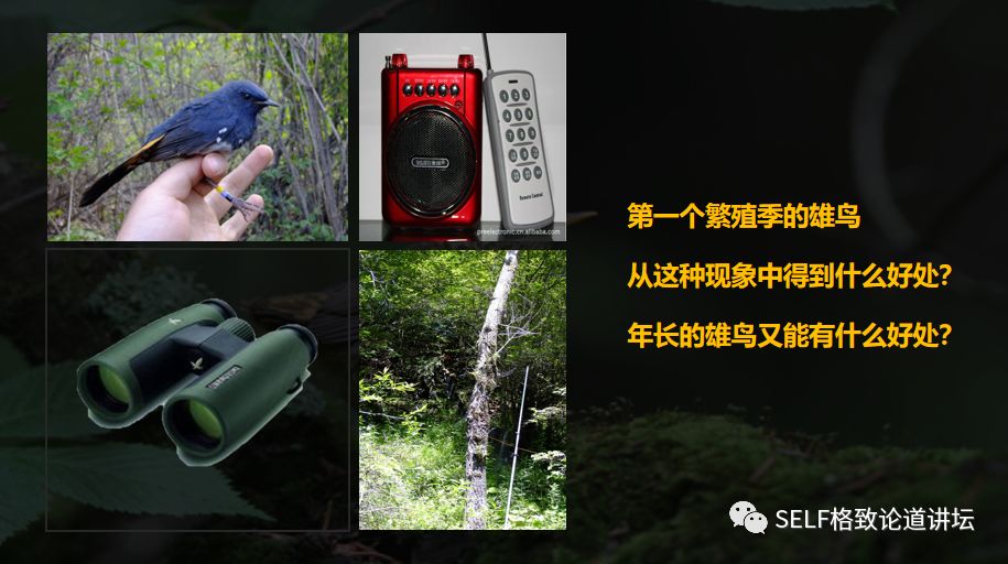 科学家如何观察植物,鸟类的研究方法