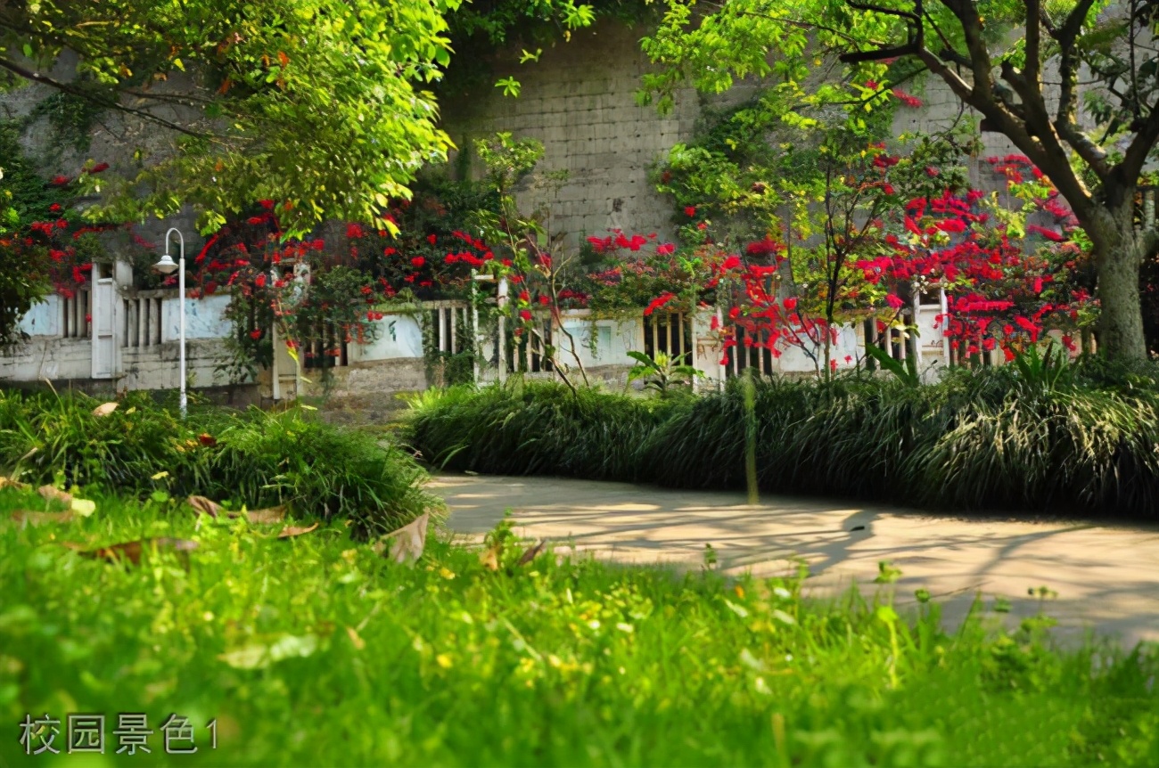 重庆哪所学校环境最好,重庆环境最差的学校