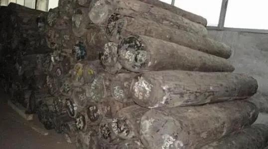 有毒木材大盘点,有毒红木