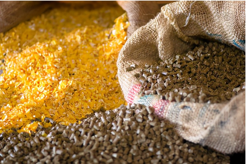 养猪不赚钱或赚钱少的十大原因,养猪亏损200多亿