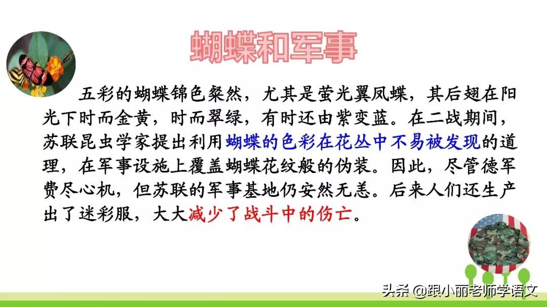 语文思维导图四年级上蝙蝠和雷达,人教版四年级上册蝙蝠和雷达朗读