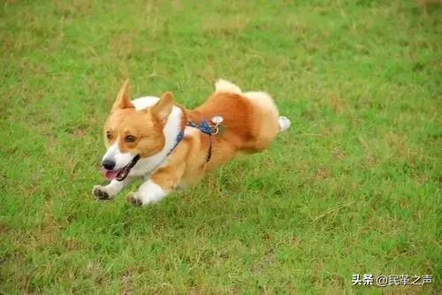 台湾花莲美食旅游打卡,台湾新竹美食一日游