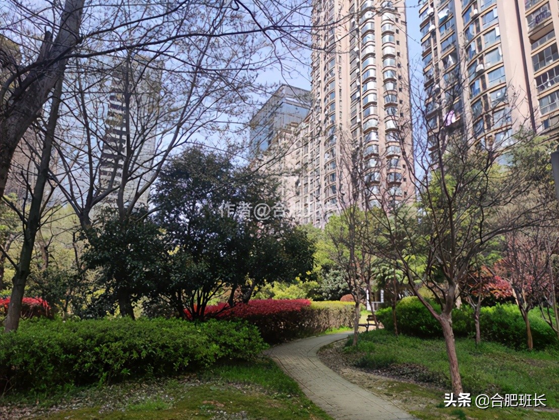 合肥水景房推荐,合肥绿地海顿公馆是住宅吗