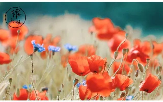 你在朋友圈的样子，暴露了你的财商