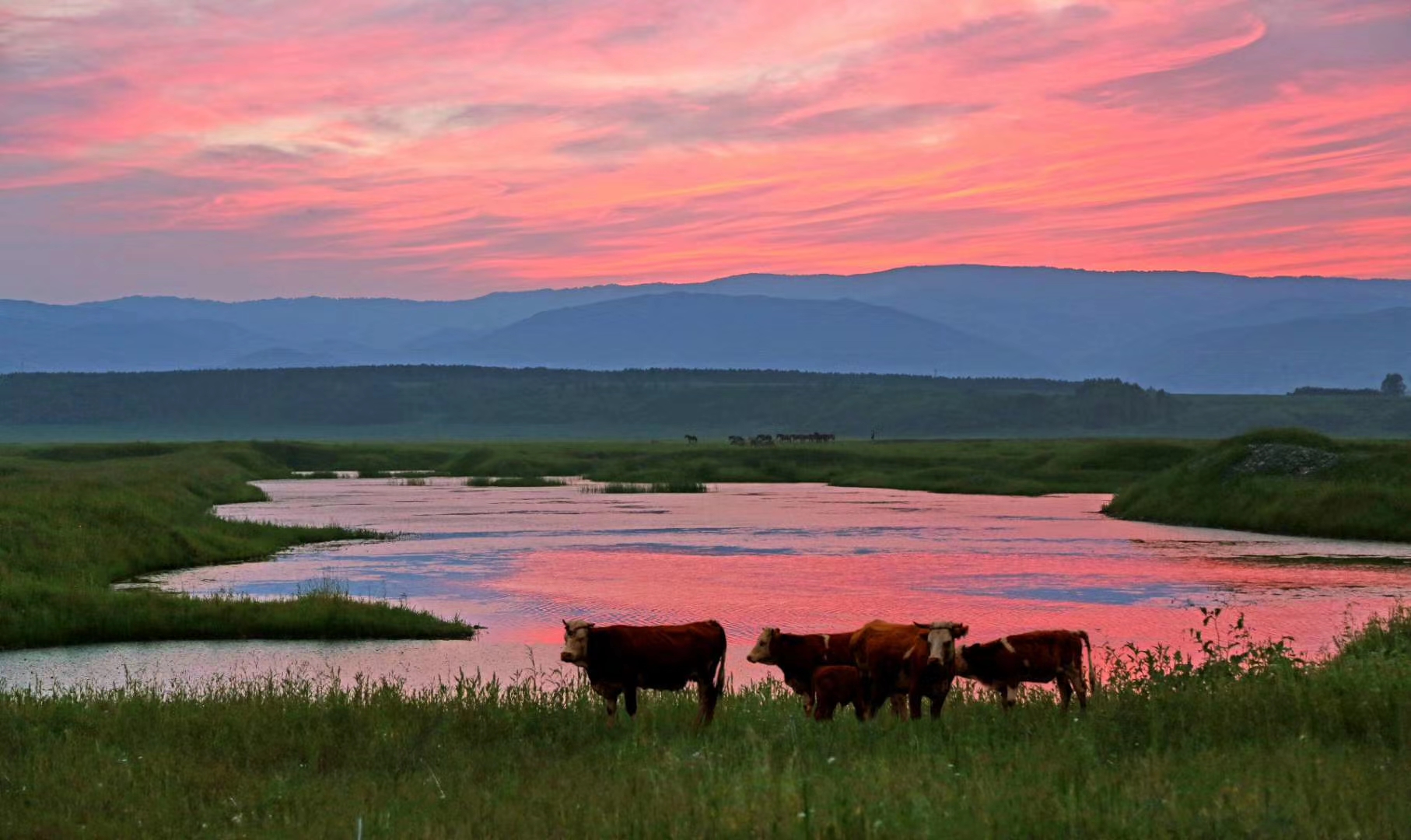 康熙一生巡访几次,康熙帝三次亲征的路线