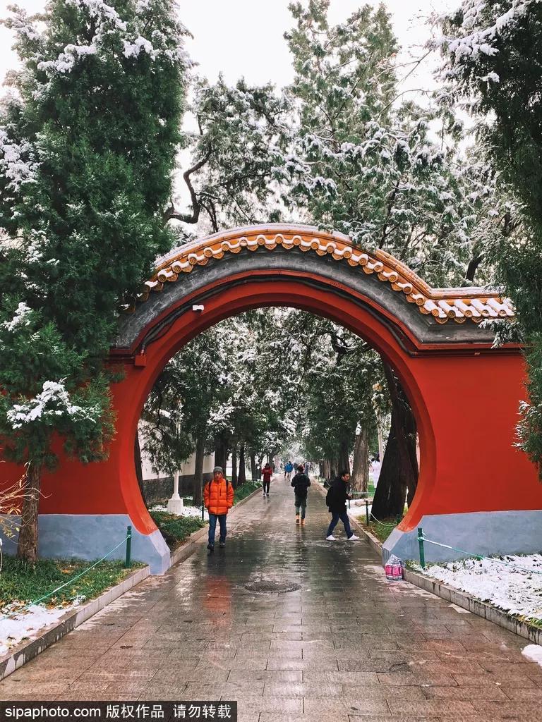 在这个距离*安门天**最近的公园，邂逅世界四大兰花展之一！过年看花就来这！