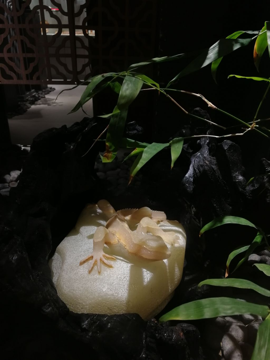 中国国际艺术展览中心,艺术展展览中心