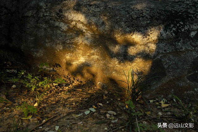 索尼黑卡二怎么拍,索尼黑卡2大光圈拍视频