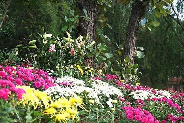 大连重阳节旅游攻略,大连九月秋游攻略