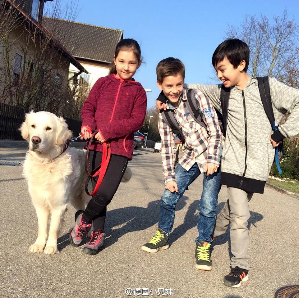 德国孩子为什么那么自信,德国幼儿混龄教育