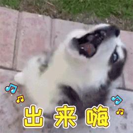 广东十大特色菜品你吃过几种,广东最奇葩的八道美食