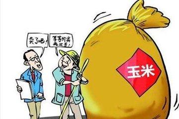 为什么今年的玉米价格这么低,玉米价格今年能涨到1元斤吗