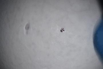 医学缝针练习,医生如何练习缝针