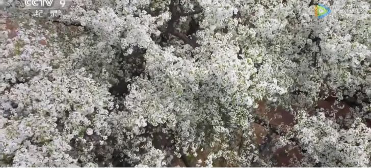 航拍中国宁夏详细景点,航拍中国宁夏详细笔记