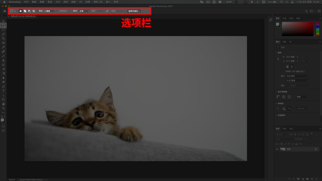 photoshop鏁欑▼娓告垙鐣岄潰,鐔熸倝photoshop宸ヤ綔鐣岄潰