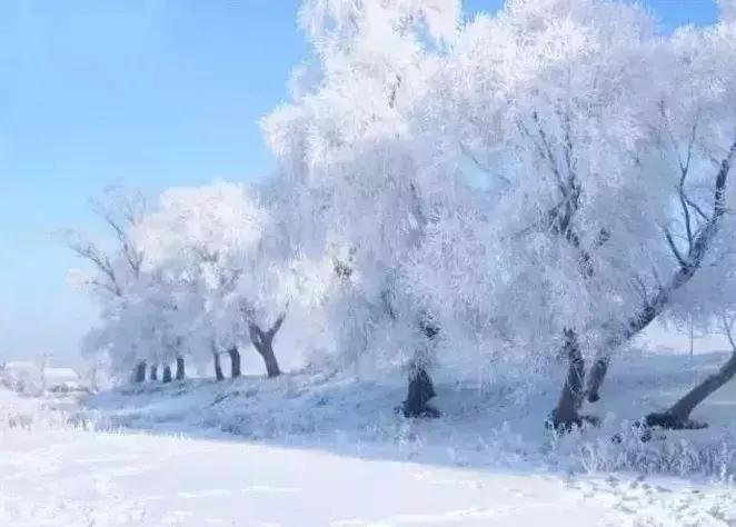雾凇之美宛若仙境,连云港花果山雾凇美得像仙境