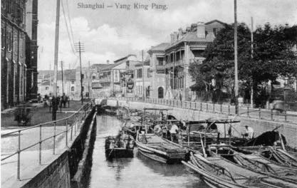 王安石vans,王安石叫文什么