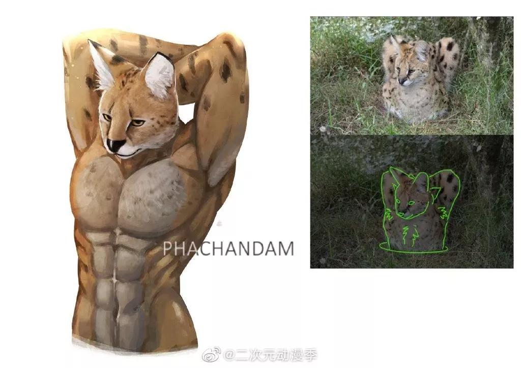 又一位肌肉*男猛**出现了，这个系列永不完结……