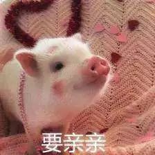 暧昧期最舒服的相处方式,暧昧期怎么才能让感情快速升温