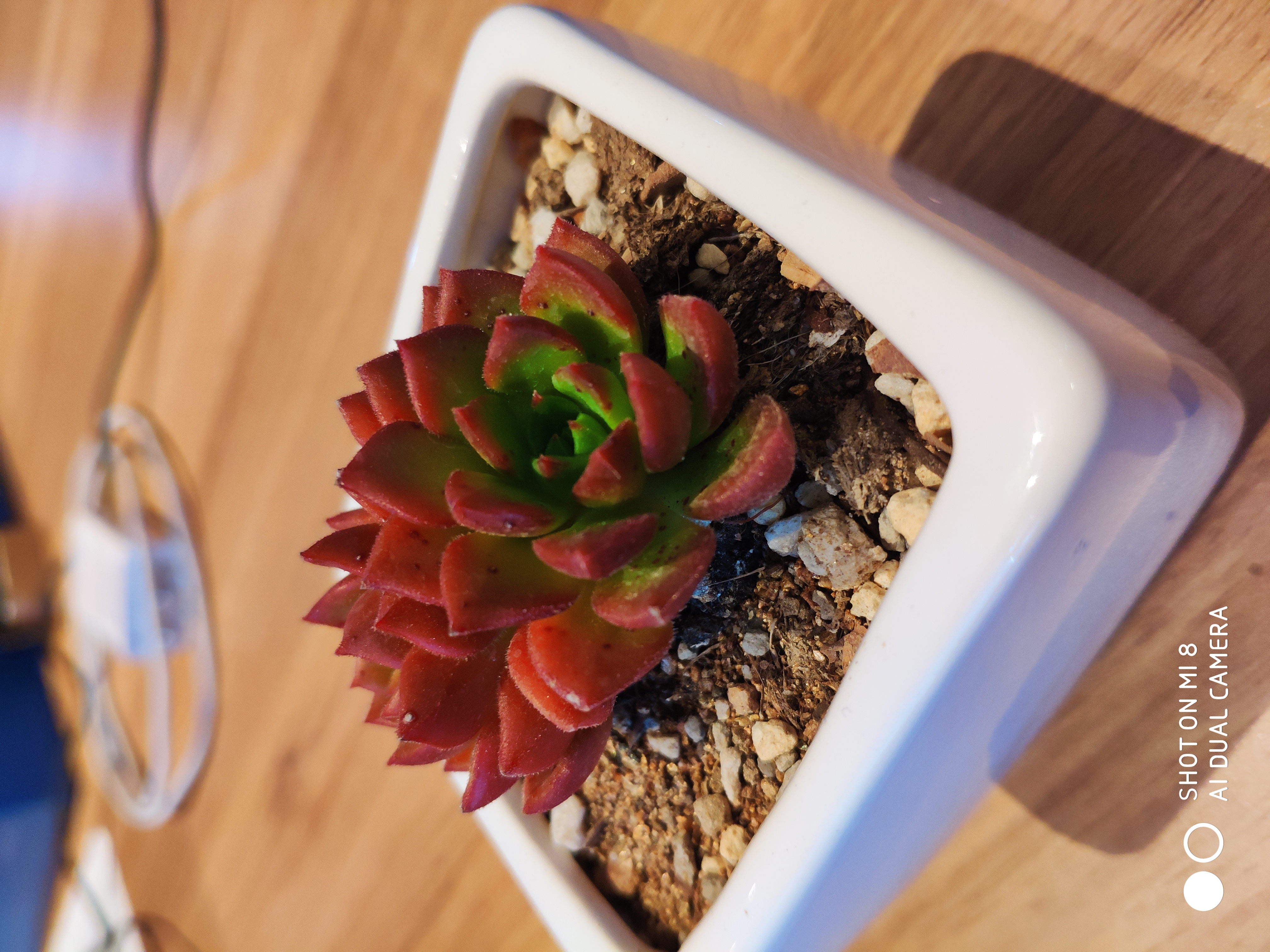 2020年了小米8还能用吗,小米8到现在还能用吗